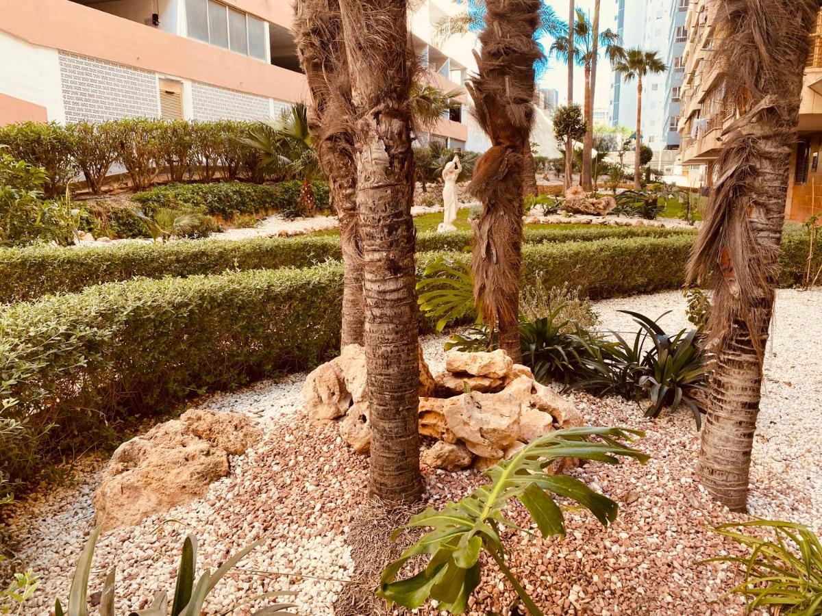 Be Luxury Apartment 20 Mts From The Beach Benidorm Bagian luar foto