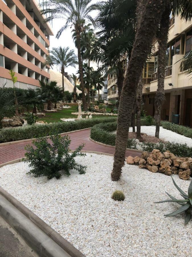 Be Luxury Apartment 20 Mts From The Beach Benidorm Bagian luar foto